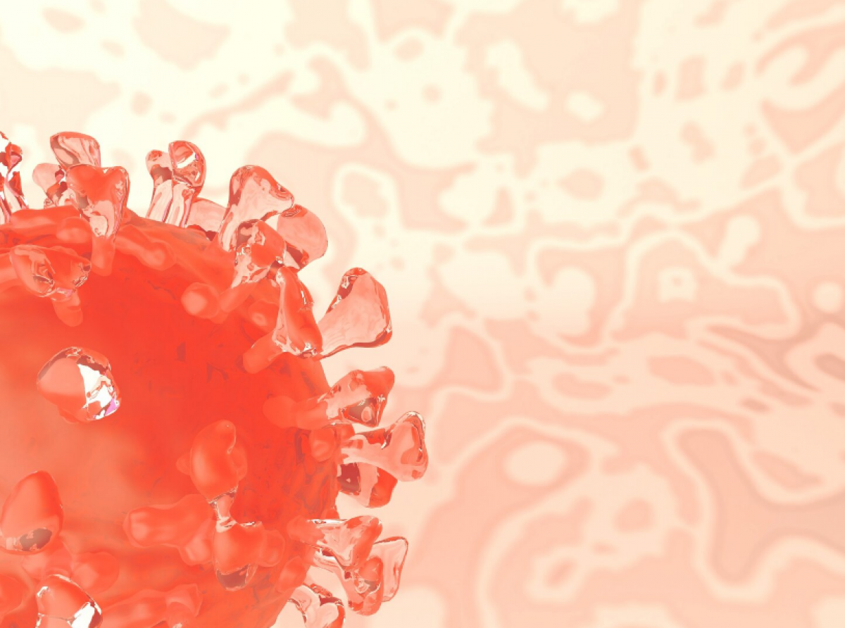 Фото: https://ru.freepik.com/free-photo/